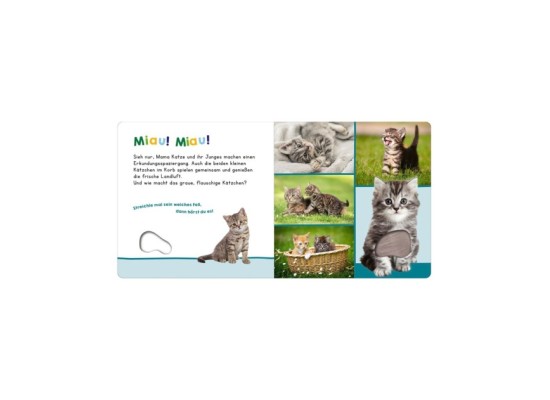 Soundbuch Hör mal rein, wer kann das sein? - Meine ersten Tiere