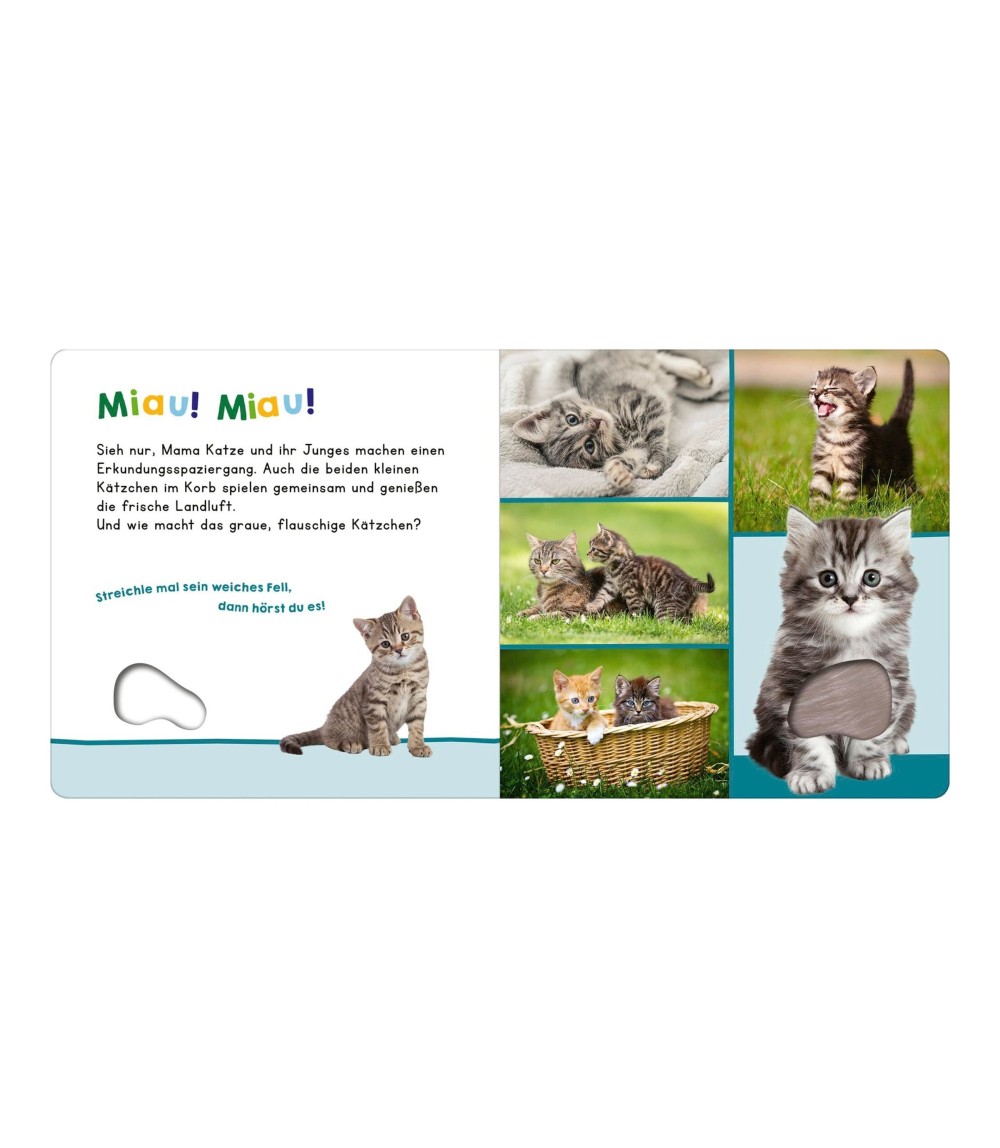 Soundbuch Hör mal rein, wer kann das sein? - Meine ersten Tiere