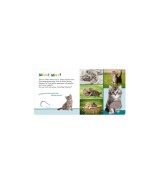 Soundbuch Hör mal rein, wer kann das sein? - Meine ersten Tiere