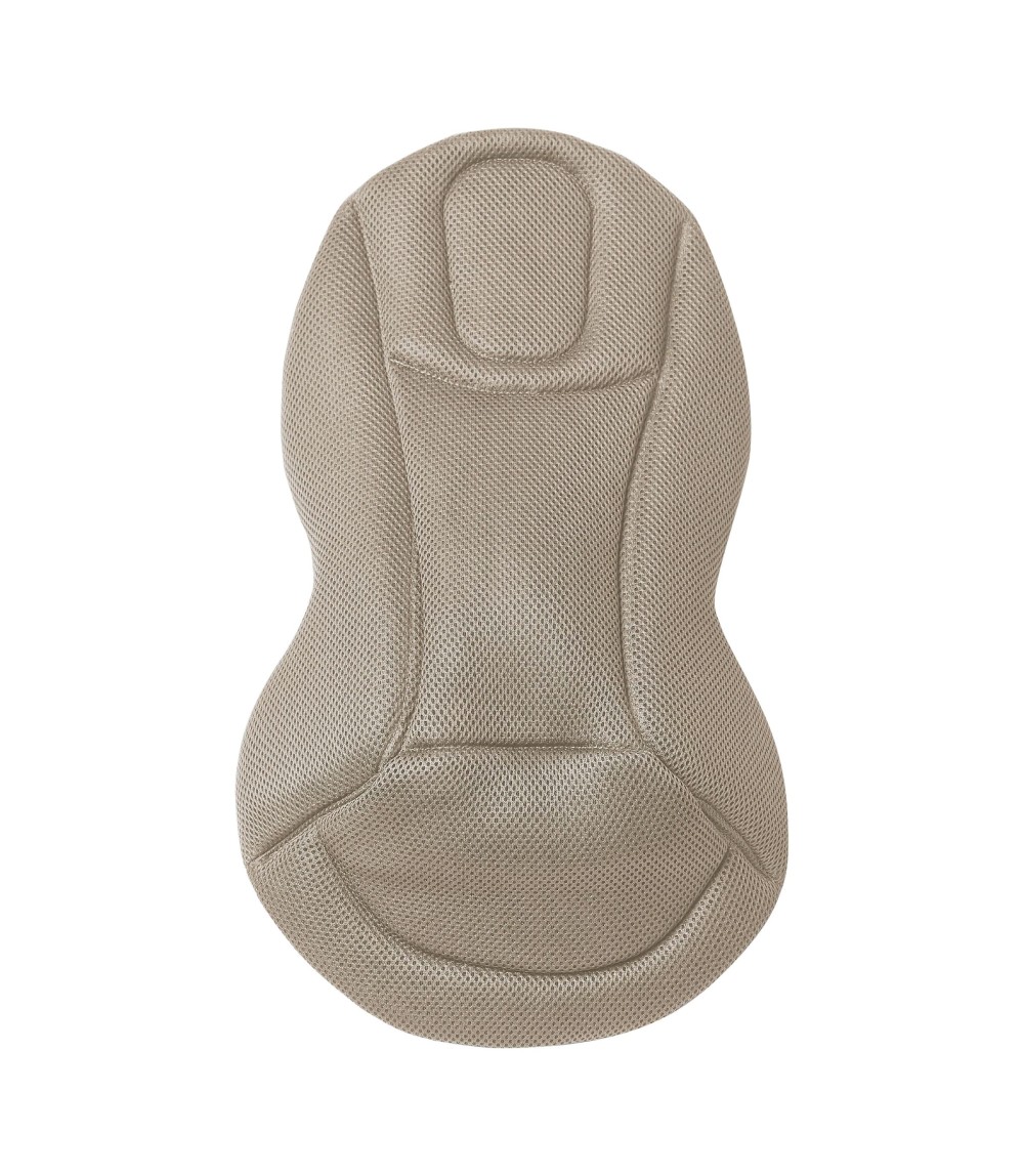 Babywippe Bouncer Evolve 3-in1