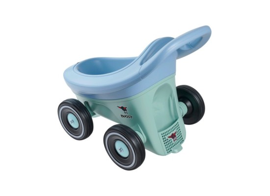 Lauflernwagen Buggy 3in1