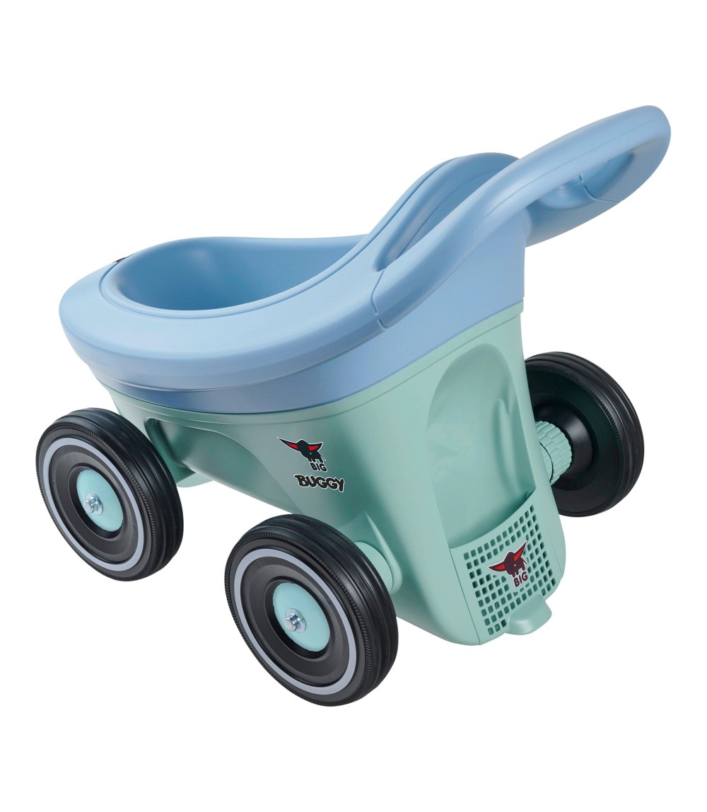 Lauflernwagen Buggy 3in1