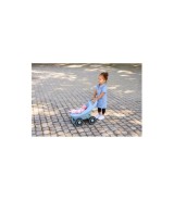 Lauflernwagen Buggy 3in1