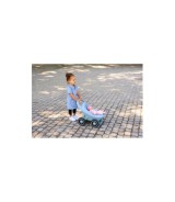 Lauflernwagen Buggy 3in1