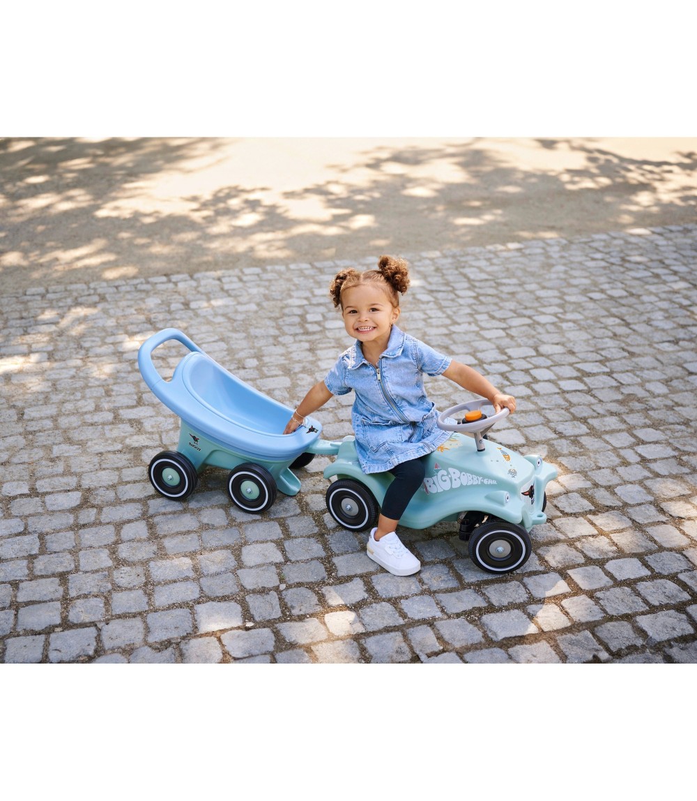 Lauflernwagen Buggy 3in1