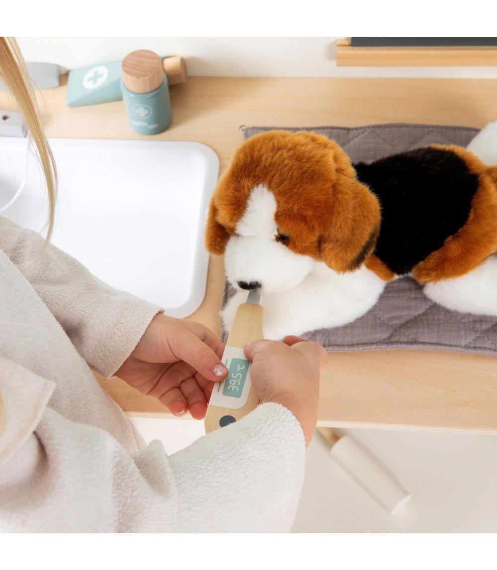 Tierarzt-Center Thymus