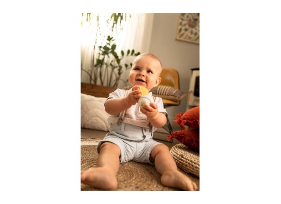 Musikalische Bälle - 5 Sinne