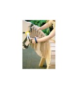 Spielzeug Pferdepflege-Set mit Tasche