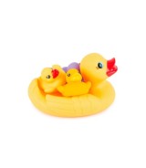 Schwimmenten-Familie - ab 12 Monate