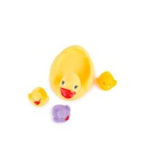 Schwimmenten-Familie - ab 12 Monate