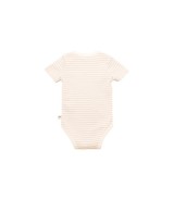 2er-Pack Bodys kurzarm Sunny Adventure