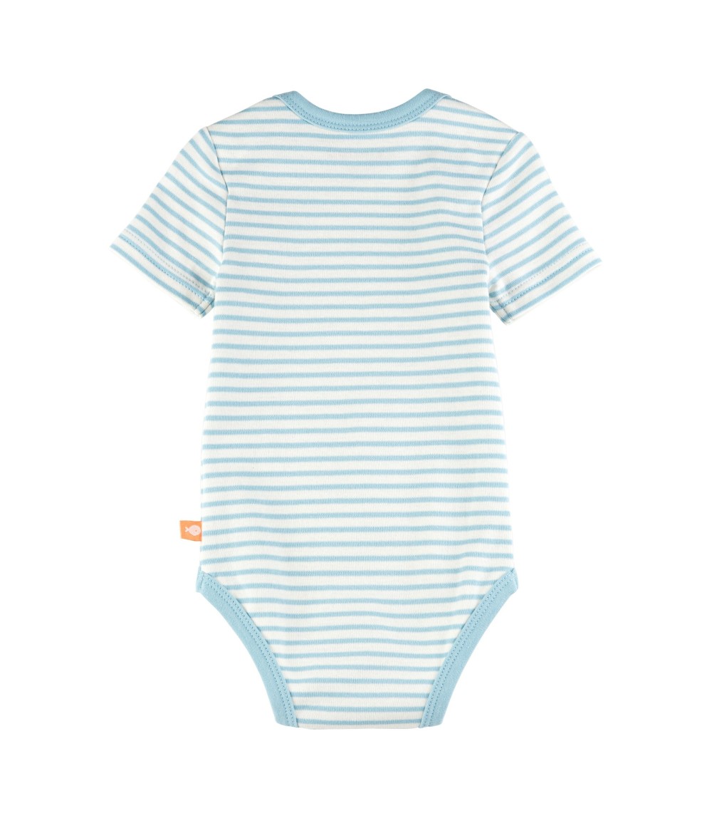 3er-Pack Bodys kurzarm Strand Ringel