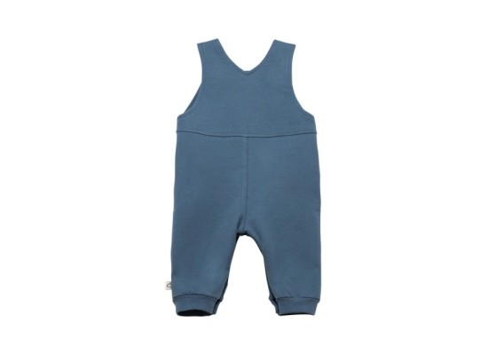 2-tlg. Set Latzhose mit Shirt Ringel Bär