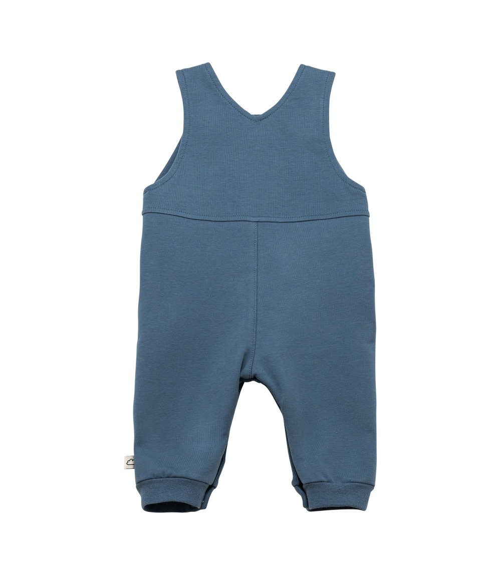 2-tlg. Set Latzhose mit Shirt Ringel Bär