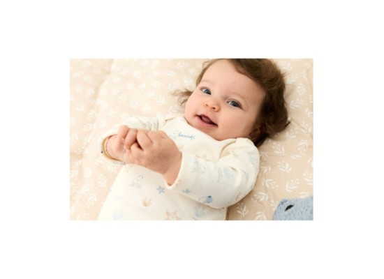 2er-Pack Bodys langarm Aqua Friends