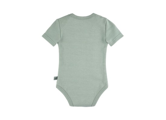 2er-Pack Bodys kurzarm Gänse