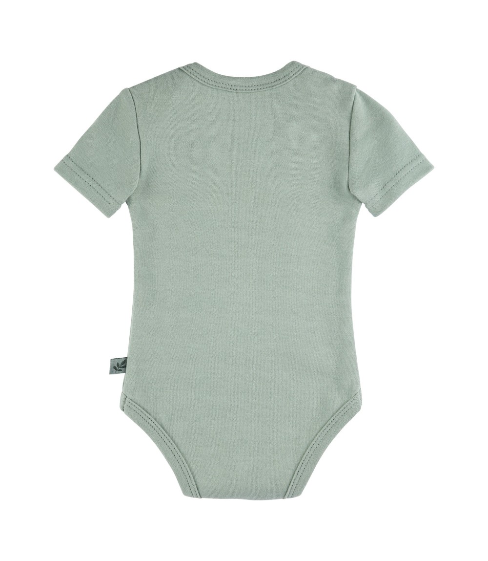 2er-Pack Bodys kurzarm Gänse