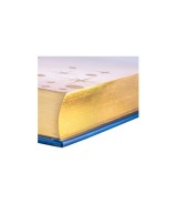 Disney - Das große goldene Buch der Gute-Nacht-Geschichten