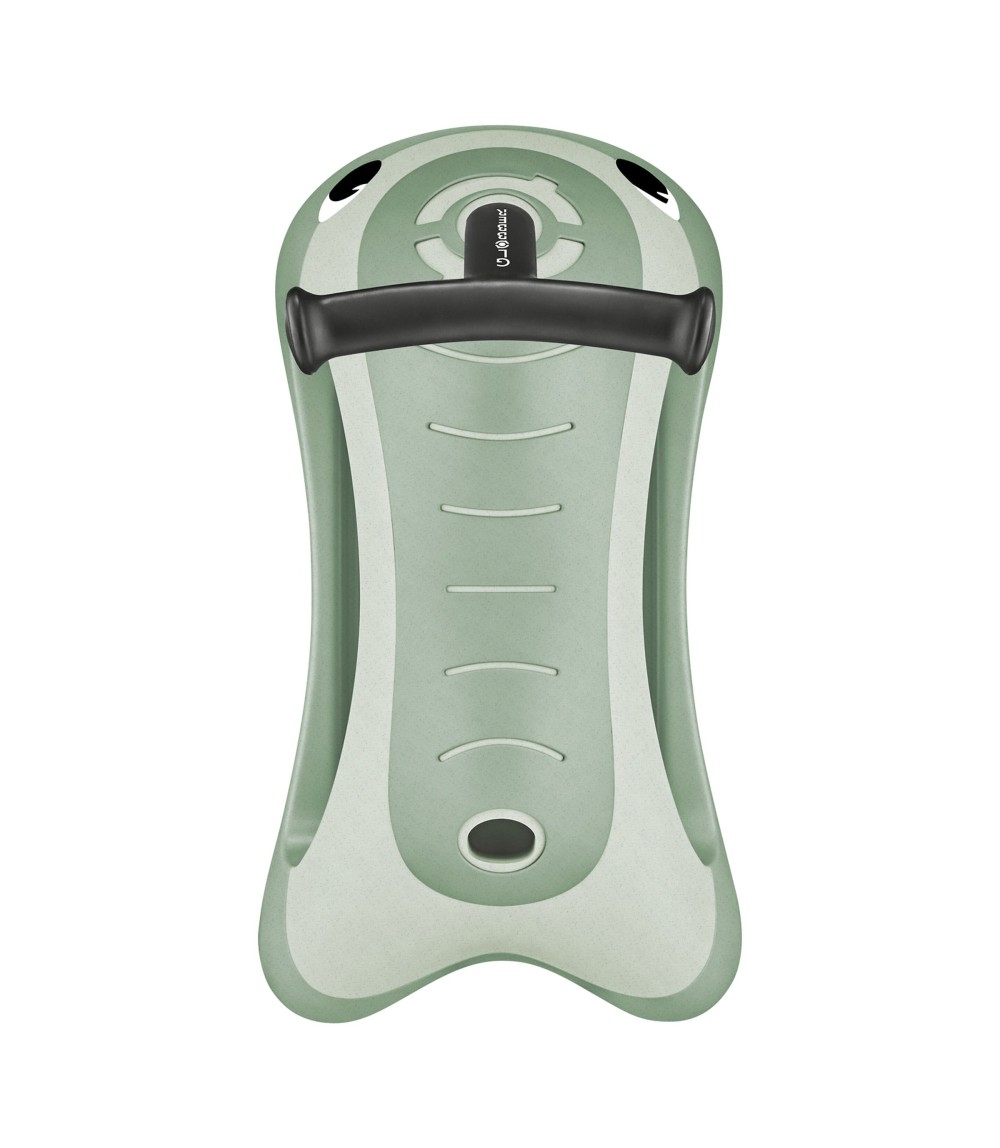 Rutscher Walk n' roll 2in1 ECO