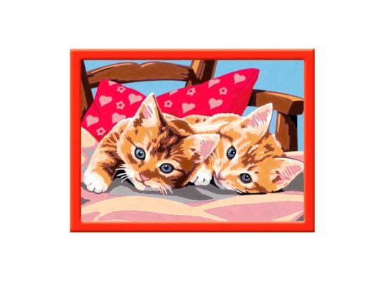 Zwei Schmusekätzchen