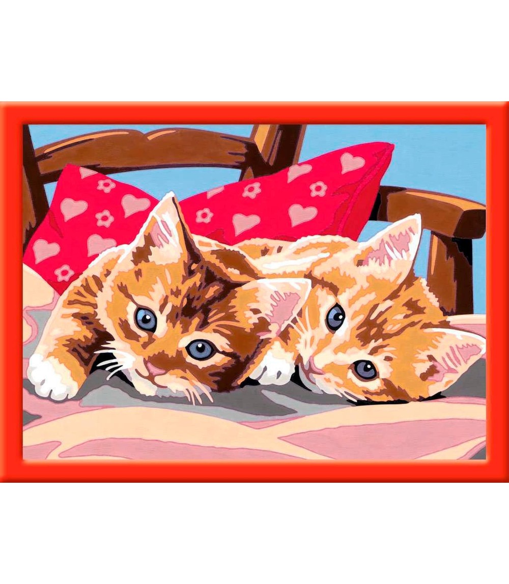 Zwei Schmusekätzchen