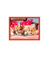 Zwei Schmusekätzchen