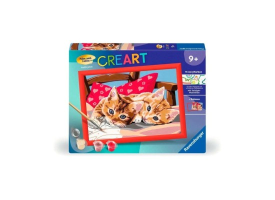 Zwei Schmusekätzchen