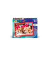 Zwei Schmusekätzchen