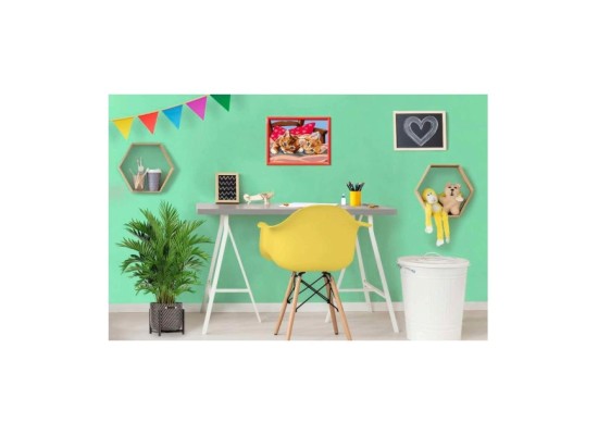 Zwei Schmusekätzchen