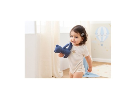 2er-Pack Bodys kurzarm On the road