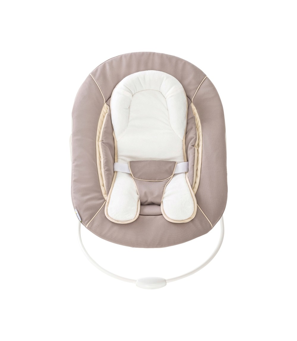 Babywippe Alpha Bouncer 2in1