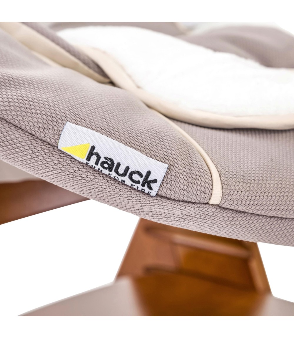 Babywippe Alpha Bouncer 2in1