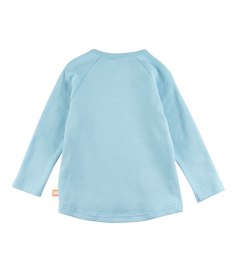 Raglanshirt Schildkröte