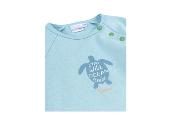 Raglanshirt Schildkröte