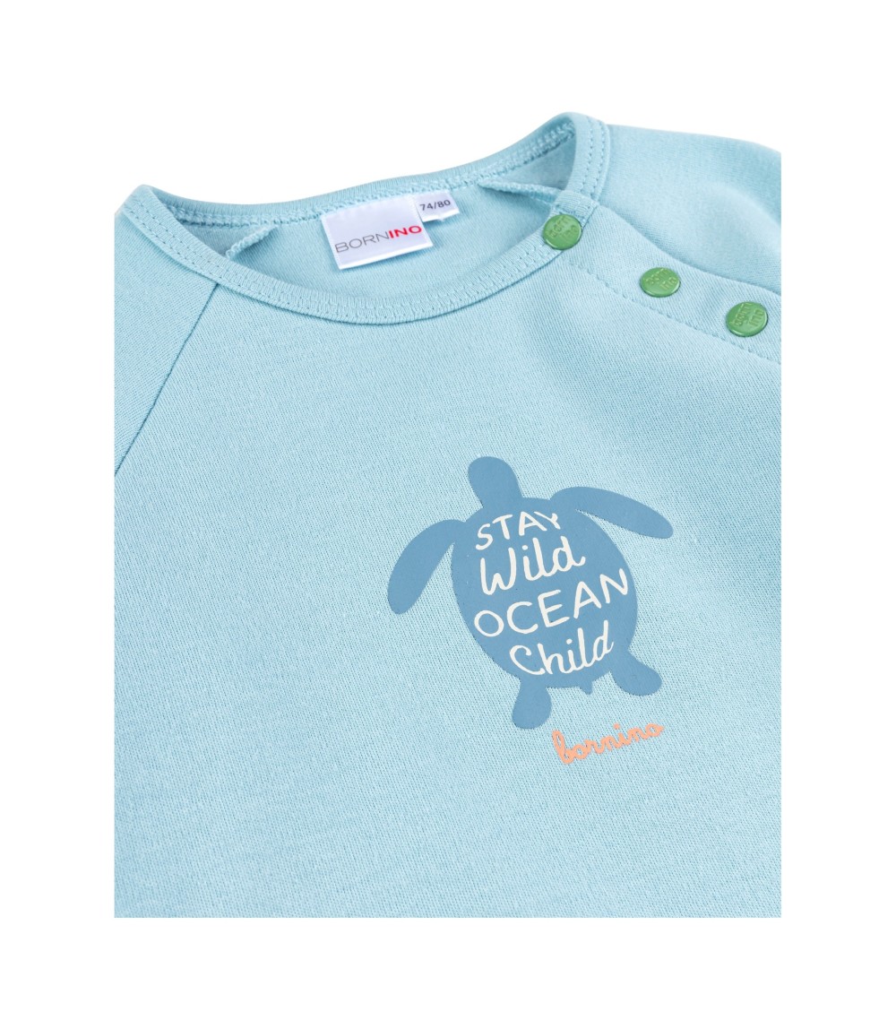 Raglanshirt Schildkröte