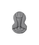 Babywippe Bouncer Evolve 3-in1