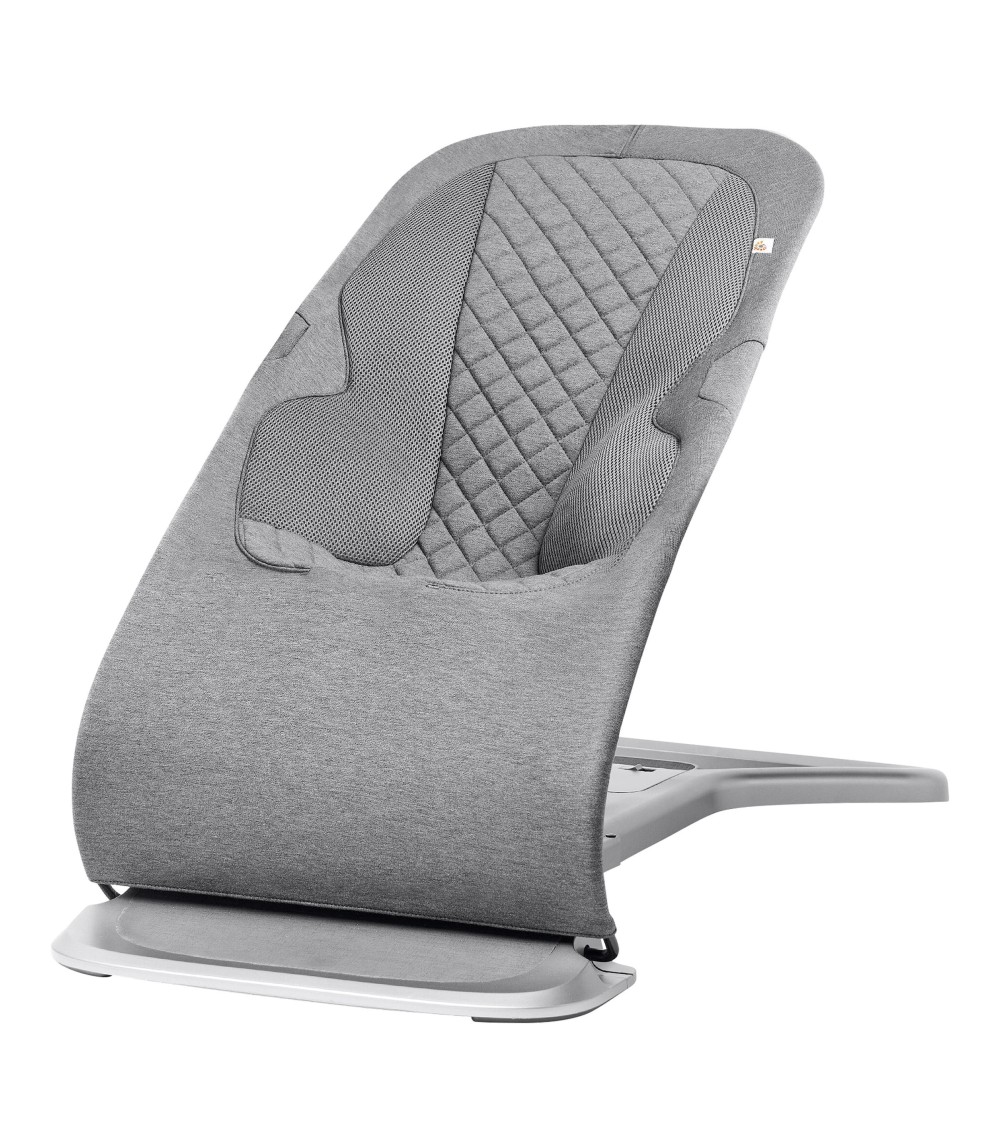 Babywippe Bouncer Evolve 3-in1