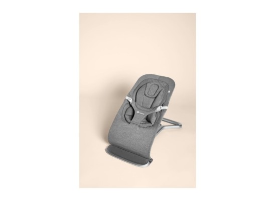 Babywippe Bouncer Evolve 3-in1
