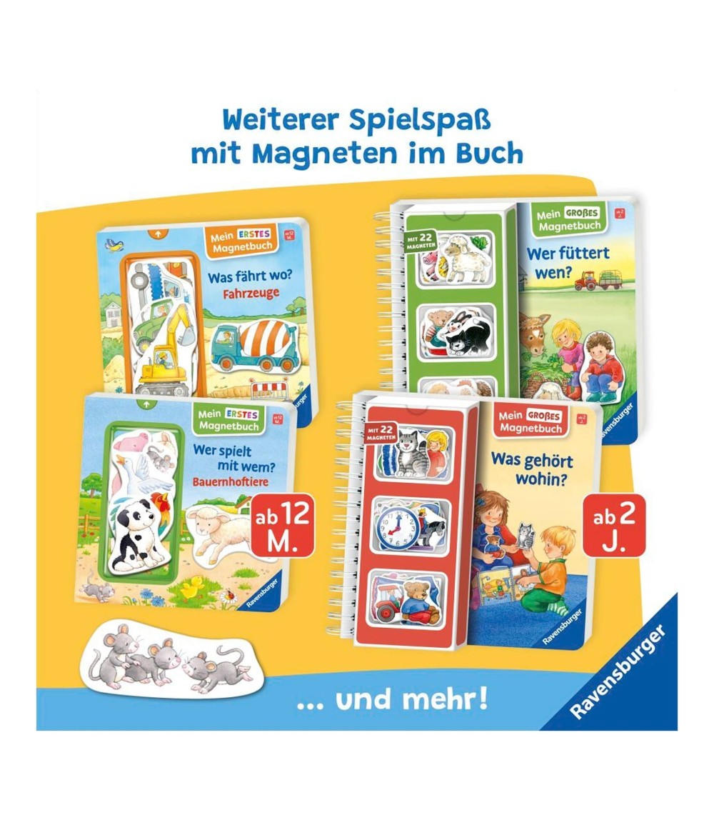 Mein großes Magnetbuch - Was gehört wohin?