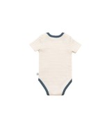 3er-Pack Bodys kurzarm On the road