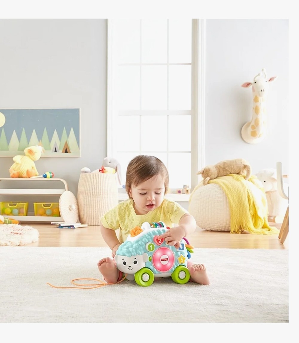 Fisher-Price GHR16 Linkimals Happy Shapes Hedgehog