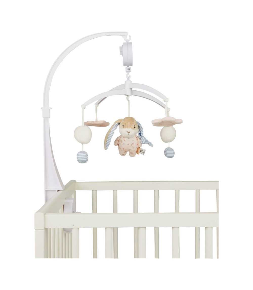 Musik-Mobile Hase Hanni