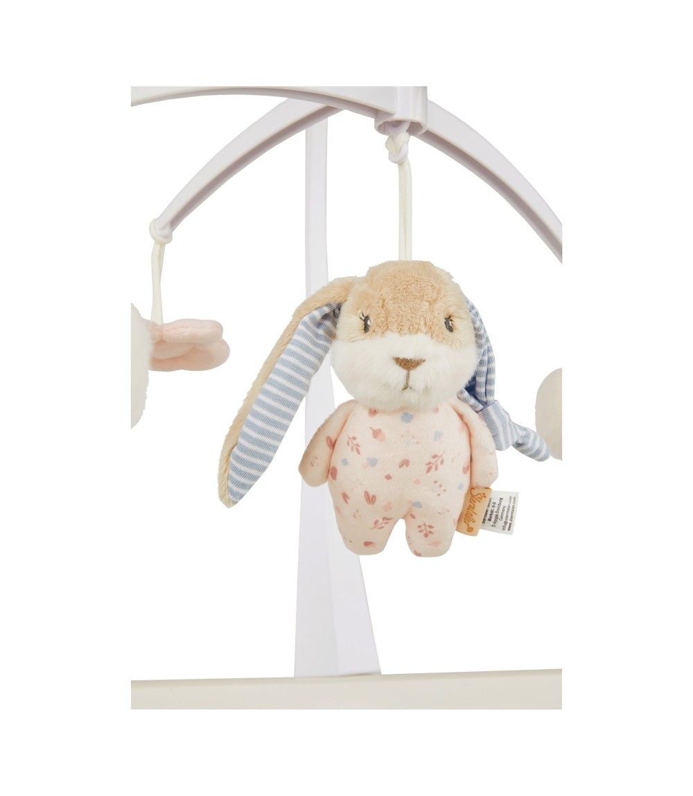 Musik-Mobile Hase Hanni