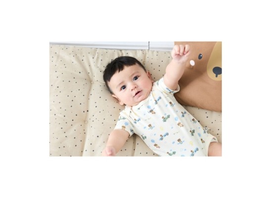 3er-Pack Bodys kurzarm On the road