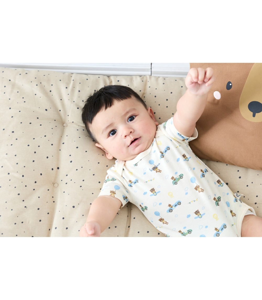 3er-Pack Bodys kurzarm On the road