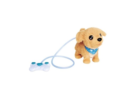 Loomy - Golden Retriever