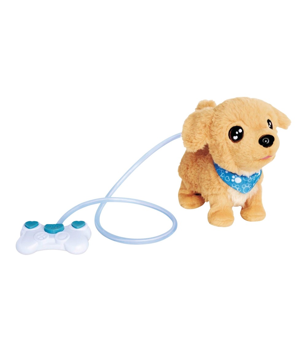 Loomy - Golden Retriever