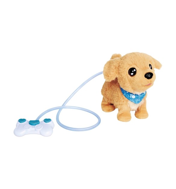 Loomy - Golden Retriever