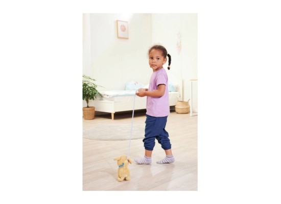 Loomy - Golden Retriever