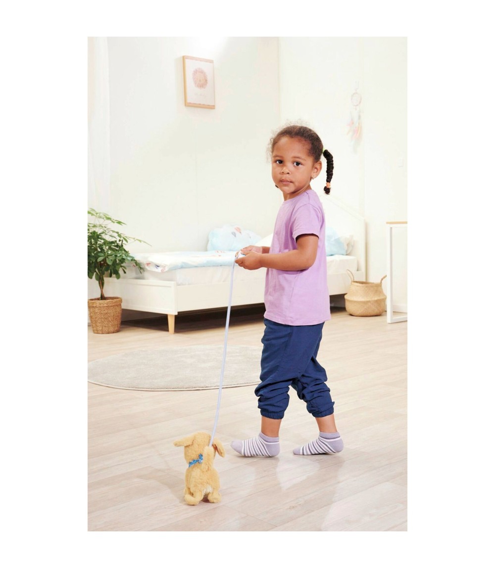 Loomy - Golden Retriever